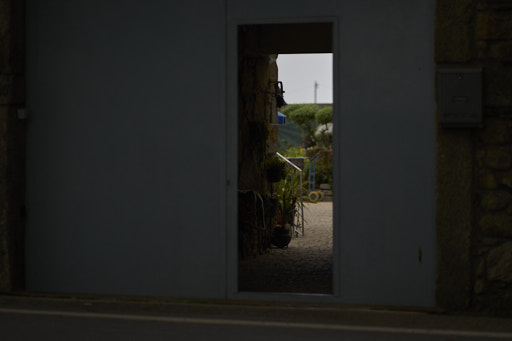 sneak peak through a farm door